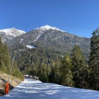 Piste